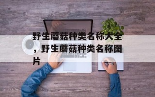 野生蘑菇种类名称大全，野生蘑菇种类名称图片