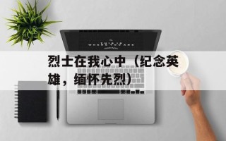 烈士在我心中（纪念英雄，缅怀先烈）