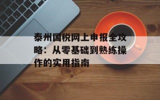 泰州国税网上申报全攻略：从零基础到熟练操作的实用指南