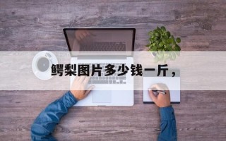 鳄梨图片多少钱一斤，