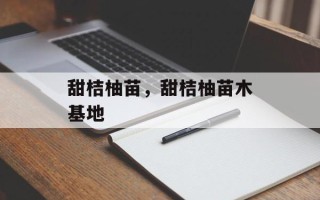 甜桔柚苗，甜桔柚苗木基地