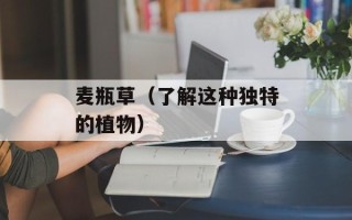 麦瓶草（了解这种独特的植物）