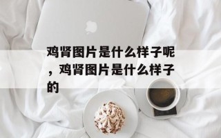 鸡肾图片是什么样子呢，鸡肾图片是什么样子的
