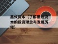 黑蚁资本（了解黑蚁资本的投资理念与发展历程）