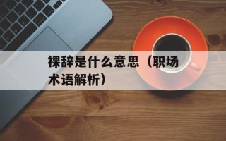 裸辞是什么意思（职场术语解析）