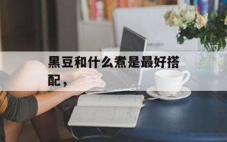 黑豆和什么煮是最好搭配，