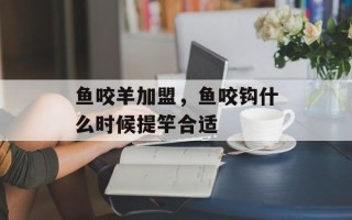 鱼咬羊加盟，鱼咬钩什么时候提竿合适