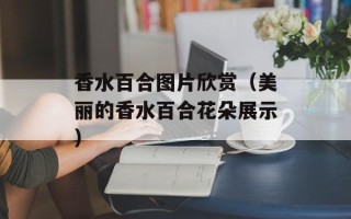 香水百合图片欣赏（美丽的香水百合花朵展示）