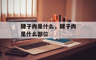 腱子肉是什么，腱子肉是什么部位