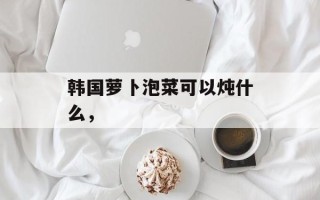 韩国萝卜泡菜可以炖什么，
