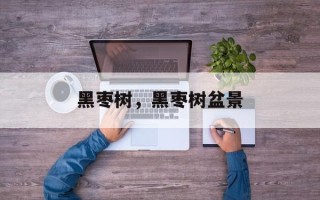 黑枣树，黑枣树盆景