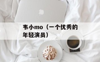 韦小mo（一个优秀的年轻演员）
