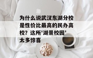 为什么说武汉东湖分校是性价比更高的民办高校？这所'湖景校园'太多惊喜