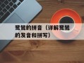 鹭鸶的拼音（详解鹭鸶的发音和拼写）