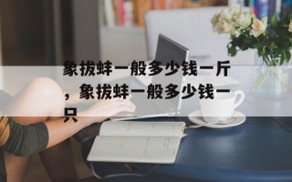象拔蚌一般多少钱一斤，象拔蚌一般多少钱一只