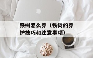 铁树怎么养（铁树的养护技巧和注意事项）
