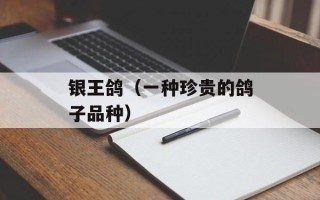 银王鸽（一种珍贵的鸽子品种）