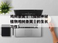 鸡树条荚蒾（探秘神秘植物鸡树条荚蒾的生长习性）