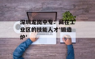 深圳龙岗中专：藏在工业区的技能人才'锻造炉'
