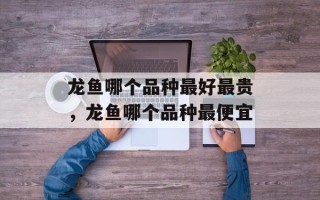龙鱼哪个品种最好最贵，龙鱼哪个品种最便宜