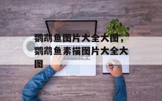 鹦鹉鱼图片大全大图，鹦鹉鱼素描图片大全大图