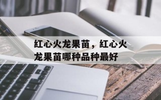 红心火龙果苗，红心火龙果苗哪种品种最好