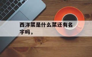 西洋菜是什么菜还有名字吗，