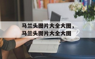 马兰头图片大全大图，马兰头图片大全大图