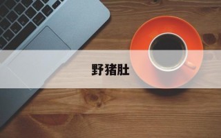 野猪肚