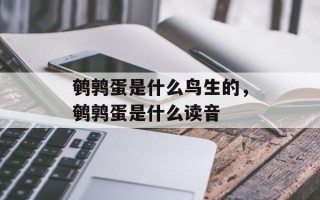 鹌鹑蛋是什么鸟生的，鹌鹑蛋是什么读音