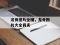 龙骨图片全图，龙骨图片大全真实