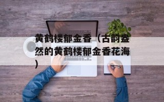 黄鹤楼郁金香（古韵盎然的黄鹤楼郁金香花海）