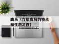 鹿马（介绍鹿马的特点和生态习性）