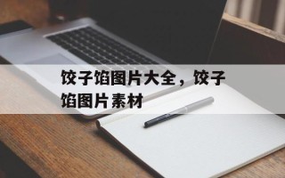 饺子馅图片大全，饺子馅图片素材