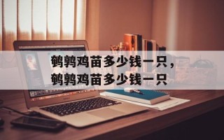 鹌鹑鸡苗多少钱一只，鹌鹑鸡苗多少钱一只