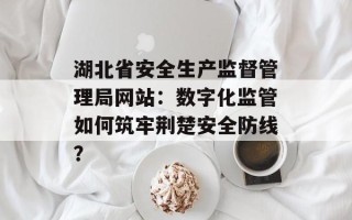 湖北省安全生产监督管理局网站：数字化监管如何筑牢荆楚安全防线？
