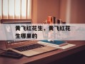 黄飞红花生，黄飞红花生哪里的