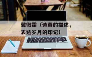 鬓微霜（诗意的描述，表达岁月的印记）