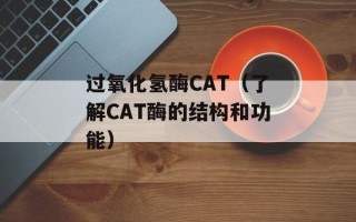 过氧化氢酶CAT（了解CAT酶的结构和功能）