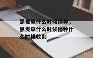 黑麦草什么时候播种，黑麦草什么时候播种什么时候收割