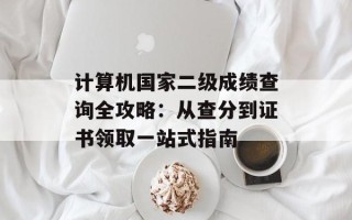计算机国家二级成绩查询全攻略：从查分到证书领取一站式指南