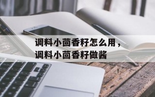 调料小茴香籽怎么用，调料小茴香籽做酱