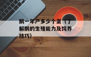 鹅一年产多少个蛋（了解鹅的生殖能力及饲养技巧）