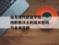 山东现代职业学院：一所职教沃土的成长密码与未来蓝图