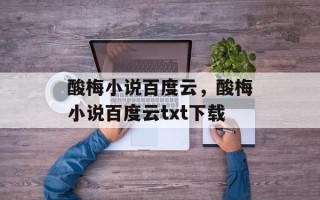酸梅小说百度云，酸梅小说百度云txt下载