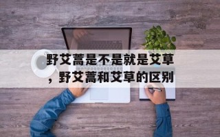 野艾蒿是不是就是艾草，野艾蒿和艾草的区别