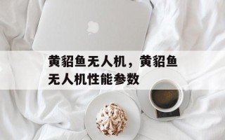 黄貂鱼无人机，黄貂鱼无人机性能参数