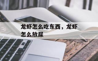 龙虾怎么吃东西，龙虾怎么放尿