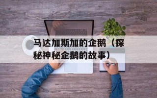 马达加斯加的企鹅（探秘神秘企鹅的故事）
