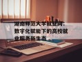 湖南师范大学就业网：数字化赋能下的高校就业服务新生态